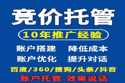 实战技巧：竞价推广案例解析与效果评估