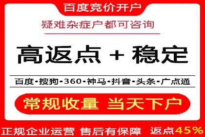 SEM推广公司成功案例：助力企业实现品牌多元化发展